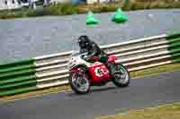 Vintage-motorcycle-club;eventdigitalimages;mallory-park;mallory-park-trackday-photographs;no-limits-trackdays;peter-wileman-photography;trackday-digital-images;trackday-photos;vmcc-festival-1000-bikes-photographs